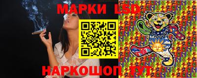 apvp Краснодар